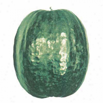 Watermelon, Black Diamond