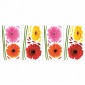 Gerber Daisies Wall Decals
